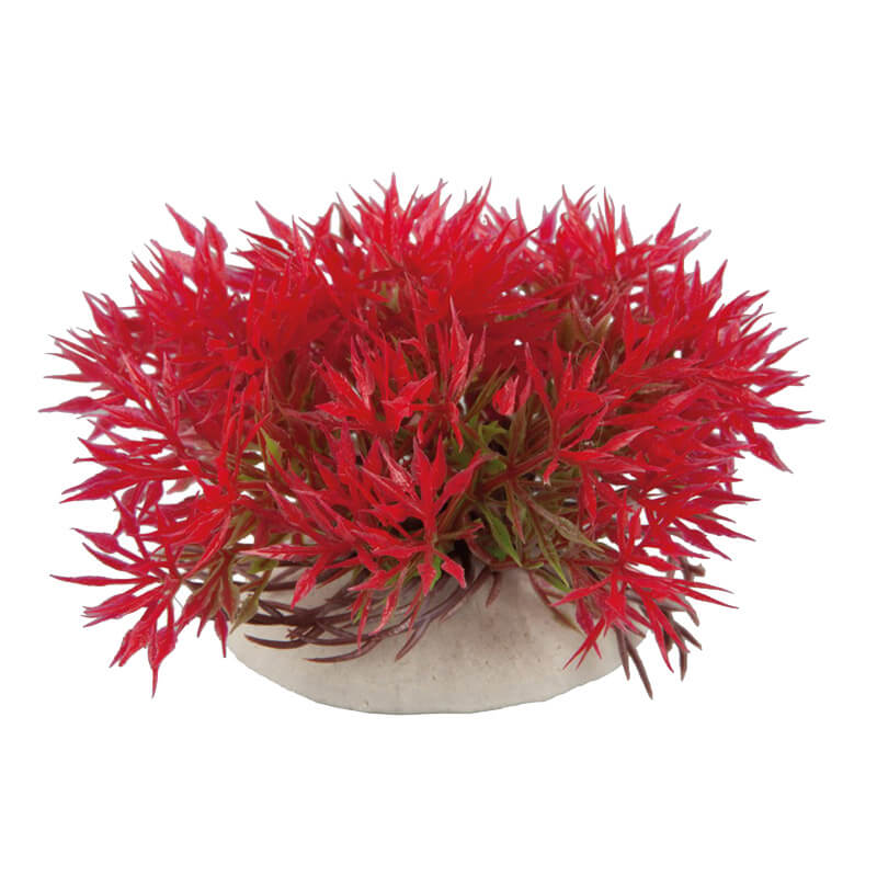 İnce Yapraklı Plastik Akvaryum Bitkisi Kırmızı 10x9 cm