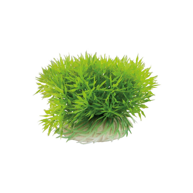 İnce Yapraklı Plastik Akvaryum Bitkisi Yeşil 10x9 cm