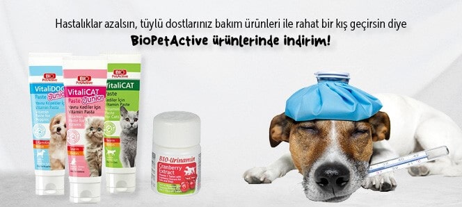 Bio Pet Active Kedi Köpek Ürünleri İndirimli