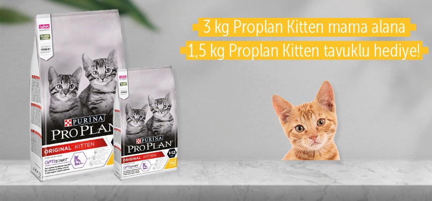 Proplan 3 kg Yavru Kedi Maması 1,5 Kg Mama Hediyeli
