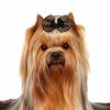 Royale Pets Desenli Lacivert Fiyonk Köpek Tokası 2,5 cm | 6,13 TL