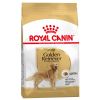 Royal Canin Adult Golden Retriever Köpek Maması 12 Kg | 2.097,41 TL