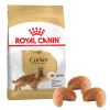 Royal Canin Cocker Köpek Maması 3 Kg | 519,75 TL