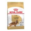 Royal Canin Cocker Köpek Maması 3 Kg | 899,98 TL