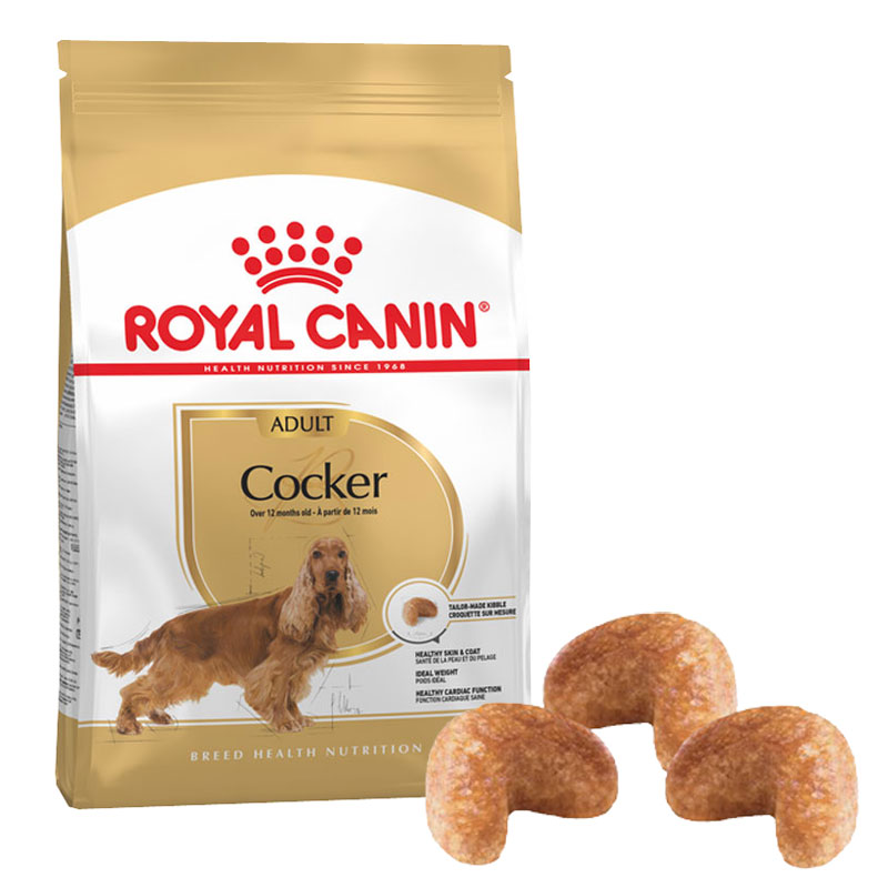 Royal Canin Cocker Köpek Maması 3 Kg | 899,98 TL