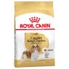 Royal Canin Cavalier King Charles Köpek Maması 1,5 Kg | 299,20 TL