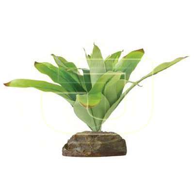 Exo Terra Smart Plant Bromelia İpek Bitki Small | 326,66 TL