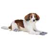 Trixie Köpek Çorabı XSmall-Small 2 Adet | 123,42 TL