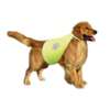 Trixie Reflektörlü Köpek Güvenlik Elbisesi Small | 35,44 TL