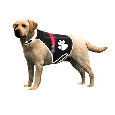Trixie Işıklı Reflektörlü Köpek Güvenlik Elbisesi Large | 494,49 TL