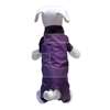 DoggyDolly Purple Four Legs Velcro Paçal Mor Köpek Yamurluu (XS) | 56,00 TL