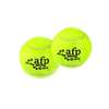 AFP Tenis Topu Köpek Oyunca 6,5 cm (2 li Paket) | 11,95 TL
