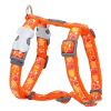 Red Dingo Breezy Kalp Desenli Turuncu Köpek Göğüs Tasması 12 mm XSmall | 407,70 TL