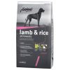 Golosi Lamb Rice Kuzu Etli Ve Pirinçli Köpek Maması 12 Kg | 969,23 TL