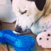 Pawise Hazneli Kauçuk Ödül Kemiği Köpek Oyuncağı 18 cm | 232,83 TL