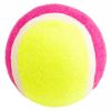 Lion Köpekler İçin Tenis Topu Oyuncak 4,5 cm | 11,09 TL