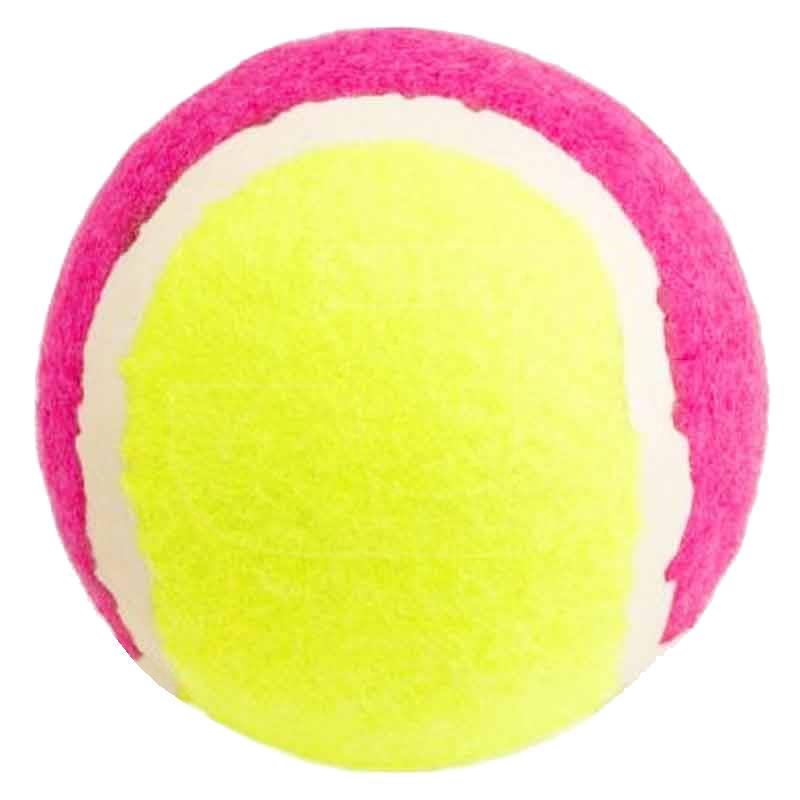 Lion Tenis Topu Köpek Oyuncağı 6 cm | 21,26 TL
