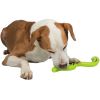 Trixie Yeil Ylan Termoplastik Köpek Ödül Oyunca 42 cm | 196,86 TL