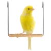 Karlie Ahşap Tünekli Kuş Salıncağı 13x13 cm | 34,50 TL