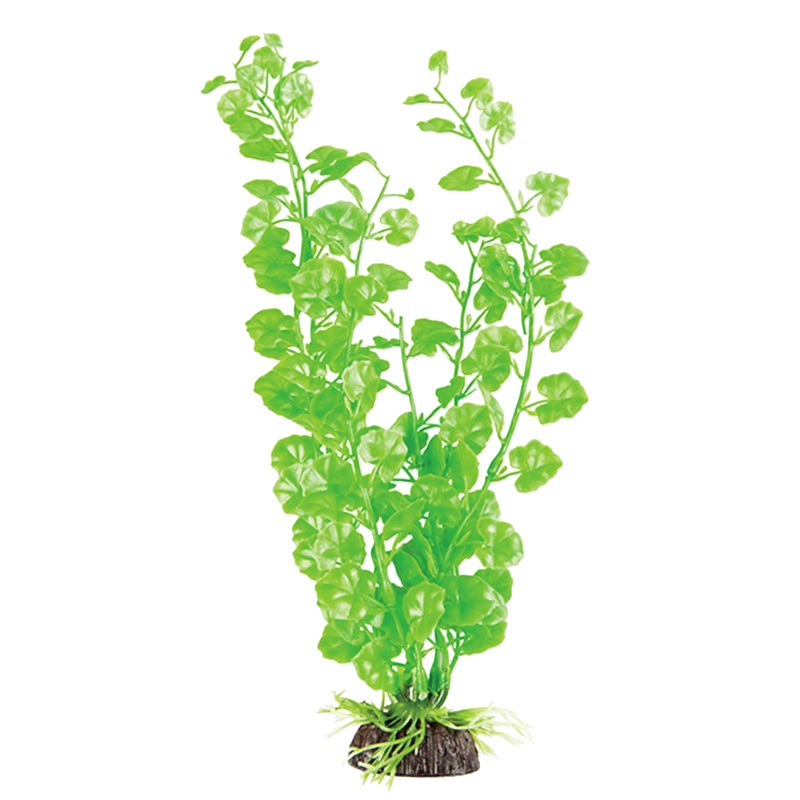 Plastik Akvaryum Dekor Bitkisi Küçük Yeşil Yuvarlak Yapraklı | 43,04 TL