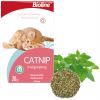 Bioline Catnip Doğal Kedi Nanesi 20 gr | 45,82 TL