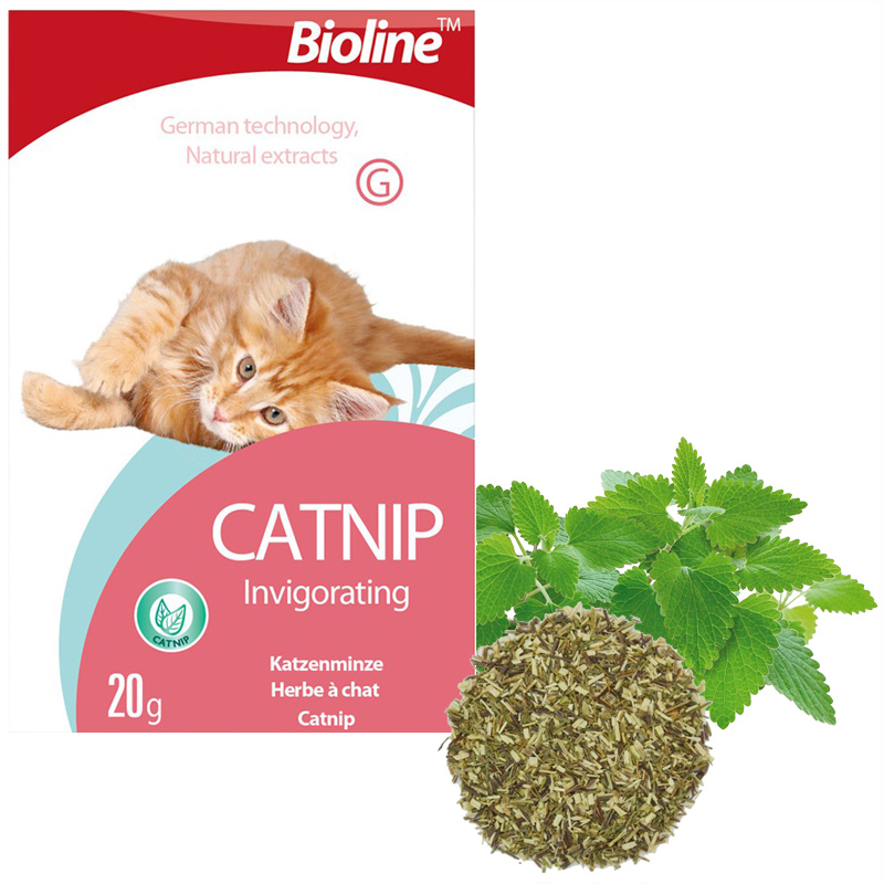 Bioline Catnip Doğal Kedi Nanesi 20 gr | 75,79 TL