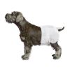 Pawise Dişi Köpek İçin Külot Çiş Bezi 38x56 cm 12 Adet XLarge | 205,13 TL
