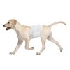 Pawise Erkek Köpek Çiş Bezi Large 12 Adet | 242,82 TL