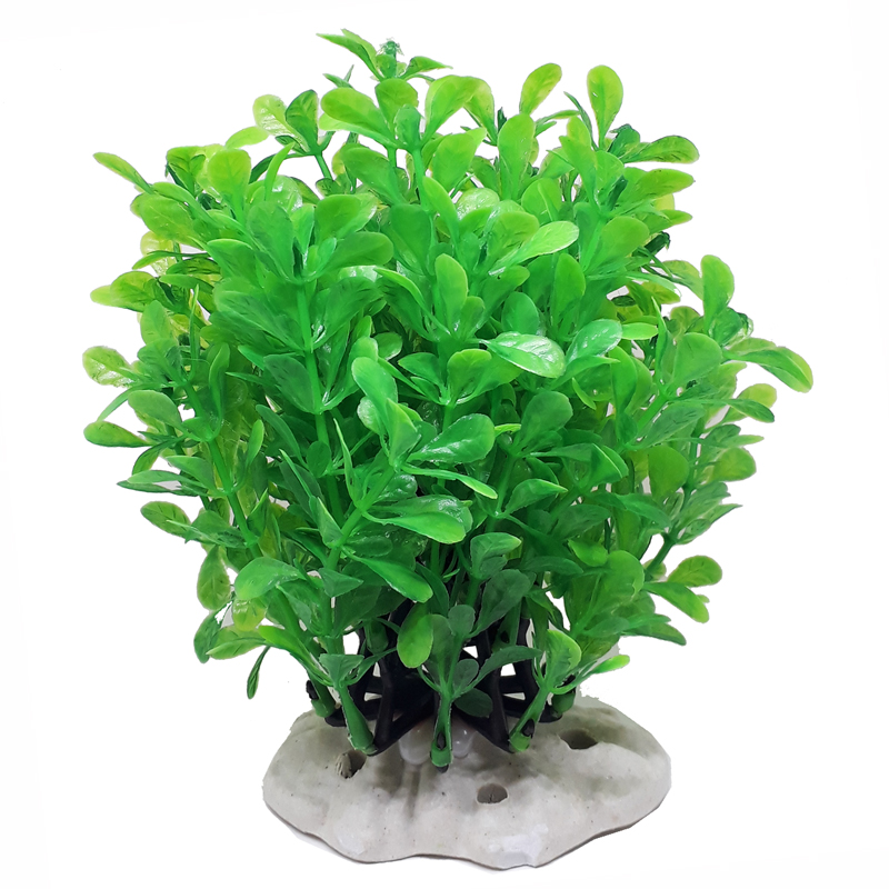 Plastik Akvaryum Bitkisi Yeşil Yuvarlak Yapraklı 16 cm | 38,95 TL