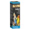 Gold Wings Coldast Vitamin Kuşlar İçin Solunum Desteği 20 ml | 36,24 TL