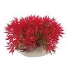İnce Yapraklı Plastik Akvaryum Bitkisi Kırmızı 10x9 cm | 25,49 TL