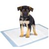 Pet Pretty Köpek Tuvalet Eğitimi Çiş Pedi Kokusuz 60x90 cm 3 Adet | 21,94 TL