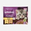 Whiskas Junior Kümes Hayvanlı Jöleli Konserve Yavru Kedi Maması 85 grx4 Adet | 55,25 TL