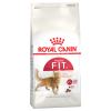 Royal Canin Fit 32 Kedi Maması 400 gr | 80,00 TL