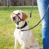Trixie Top Trainer Köpek Eğitim Tasması Medium | 195,73 TL