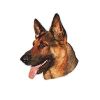 Trixie Alman Kurdu Yapışkanlı Sticker Köpek Çıkartması 17 cm | 51,80 TL